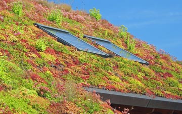 Cinderford living roof systems